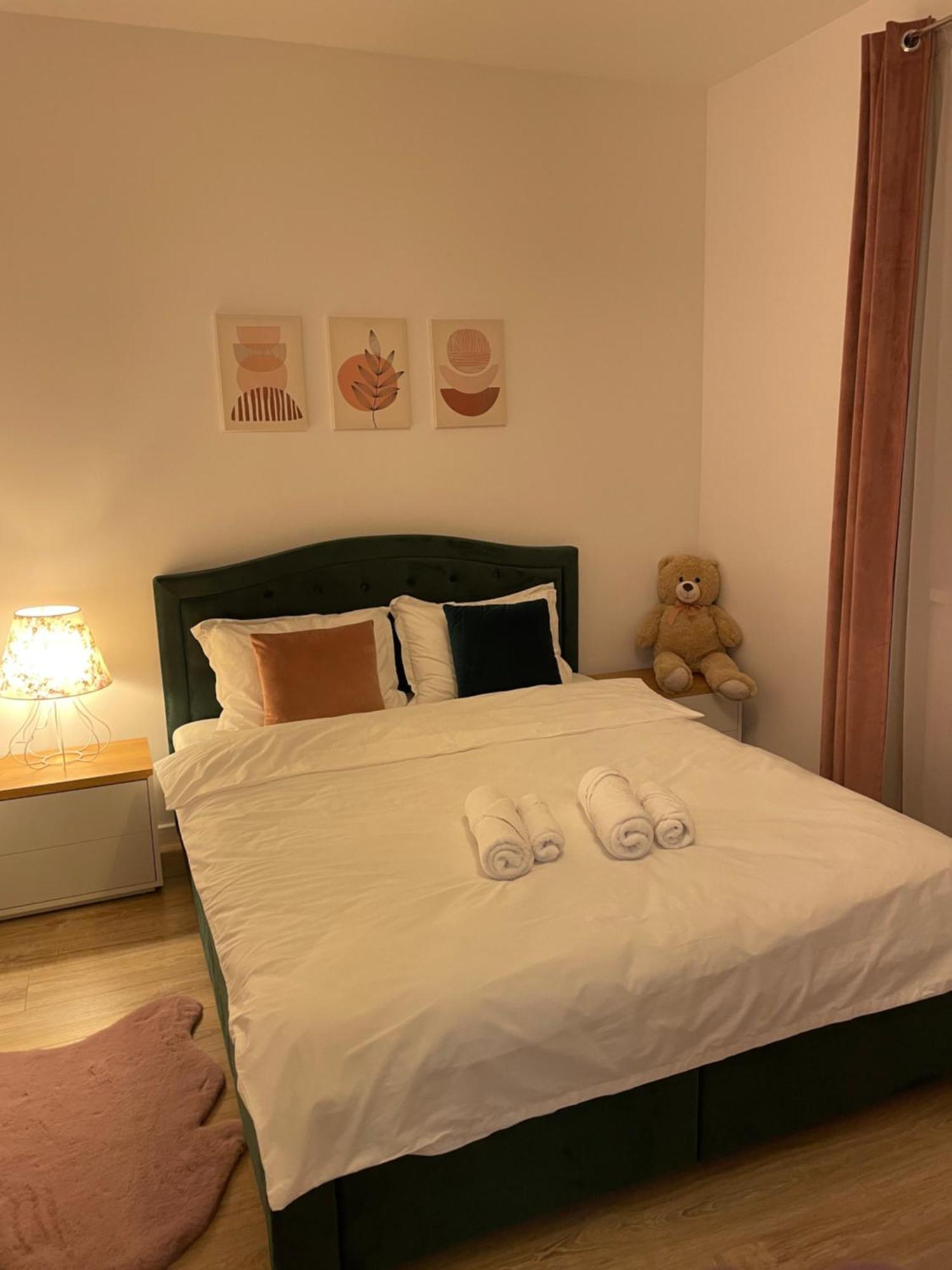 Negruzzi Apartment Dumbravita  ภายนอก รูปภาพ